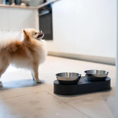 House 756 By Interhome Mainz