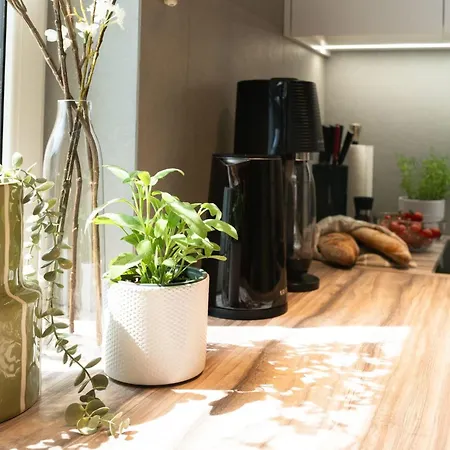 House 756 By Interhome מיינץ