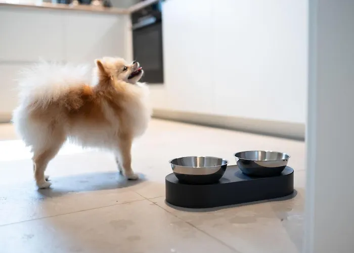 House 756 By Interhome 美因茨